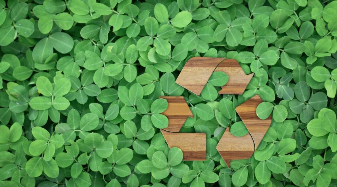 Eco environment concept : Recycle logo on green leaves background.