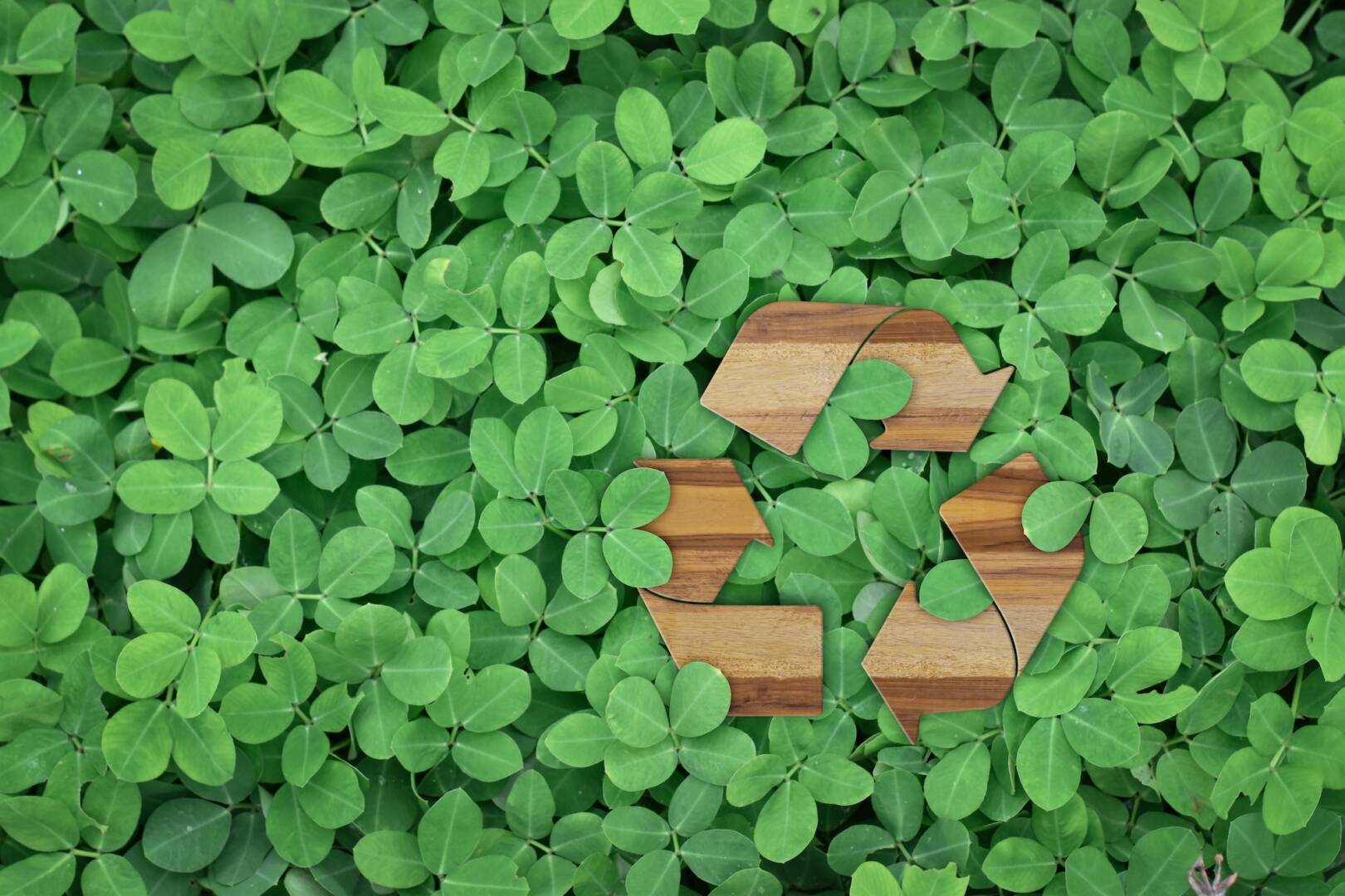 Eco environment concept : Recycle logo on green leaves background.